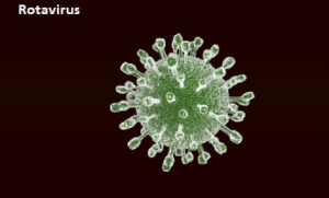 Rotavirus Symptoms Causes Treatment